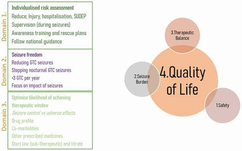 Figure 1. Key clincial standards for the four domains of epilepsy care.