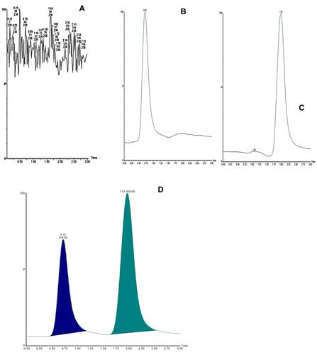 Figure 2 Mass chromatograms of blank dried blood spot (A), dried blood spot spiked with a metformin (8 µg/mL) (B) and afatinib (5µg/mL) (C) and dried blood spot from patient after 4 h after administration of 500 mg metformin (D).