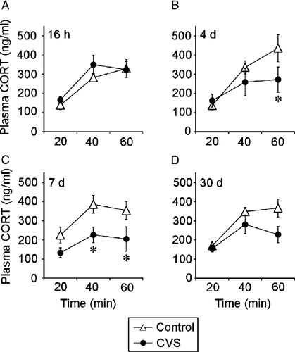 Figure 6  This figure is reprinted from Ostrander et al. (Citation2006), documenting attenuation of HPA axis responses to acute stress following CVS exposure in the same rats used for c-fos mRNA determinations. Chronically stressed rats tested at 4 days and 7 days of recovery exhibit an attenuated plasma corticosterone response to elevated plus maze (EPM) exposure. Plasma corticosterone concentrations (mean ± SEM) at 20 min, 40 min, and 60 min following the end of a 5 min exposure to an EPM at (A) 16 h recovery, (B) 4 days recovery, (C) 7 days recovery, or (D) 30 days recovery from CVS. * p < 0.05 versus control group. Reprinted with permission (Ostrander et al. Citation2006).