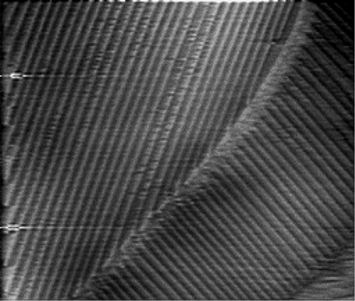 Figure 1. AFM image of families of oily streaks of 8CB on MoS2 substrate. Reprinted with permission from [Citation1] (copyright 2014, American Physical Society).