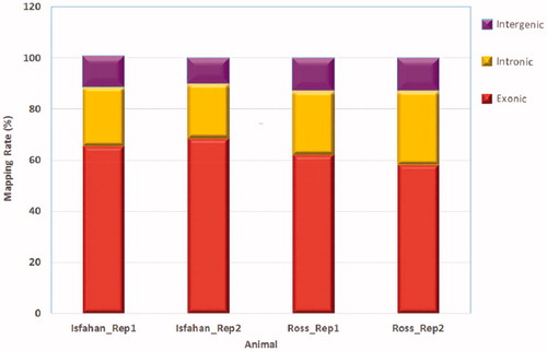 Figure 1. The percentage of reads mapped to exonic, intronic and intergenic regions.