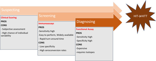 Figure 1 Guide to decision-making for HIT from suspicion to diagnosis, with advantages and disadvantages of the assays.