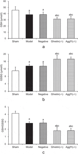 Figure 6. Comparison of GSH, GSSG, and GSH/GSSG levels of rat brains in each group. (a showed the comparison of GSH contents, b demonstrated the comparison of GSSG contents, and c presented GSH/GSGG ratio values. The comparison with sham group indicated aP < 0.05, the comparison with model group revealed bP < 0.05, and the comparison with negative group demonstrated cP < 0.05.).