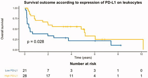 Figure 1. Kaplan–Meier curve for overall survival in patients with a high proportion of PD-L1 on leukocytes (n = 28) compared to patients with a low proportion of PD-L1 on leukocytes (n = 21).