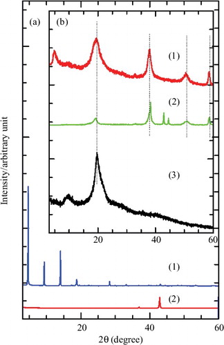 Figure 2. PXRD patterns of (a) MLH–MPP nanocomposite (1), MgO (2) and (b) MLH–MPP/chitosan nanocomposite (1), MgO–chitosan (MCH) (2), chitosan (3).