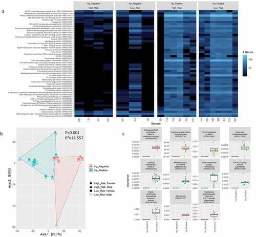 Figure 8. Comparison of InterProScan protein domain abundance in annotated bacterial genes by WMS after contig assembly with metaSpades using a heatmap of the 50 most abundant features (A) and PCA plot of Aitchison distance for beta diversity comparisons (B) between H. pylori-positive versus -negative samples. Statistical analysis for beta diversity was performed using PERMANOVA to determine significance differences (P-value) and percentage of the variance explained (R2) between the groups. C) Differential abundance analysis of InterProScan protein domains in annotated bacterial genes between H. pylori status determined using Welch’s t-test and generalized linear model (GLM) on centered log-ratio (clr) transformed abundances with a false discovery rate (FDR) correction for P-values using the Benjamini-Hochberg (BH) method. The abundance of differentially expressed features with a FDR≤0.01 for both tests is shown.