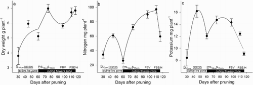 Figure 3. Dry weight (a), N (b) and K (c) accumulated in the rootstock of roses during the development of the zone of active leaves and zone of cutting flowers, including the harvest. DD = debudding of the active leaves zone, DS = deshooting of the active leaves zone, P = pinch of the active leaves zone, S10 cm = shoots of the cutting flowers zone with 10 cm length, S15 cm = shoots of the cutting flowers zone with 15 cm length, FBV = flower buds visible in the cutting flowers zone, FSE = flower stem elongation in the cutting flowers zone, H = harvest of flower. Bars represent the standard error of the mean (n = 5).