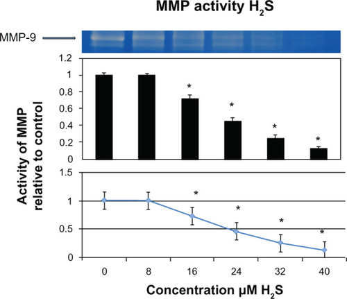 Figure 1 MMP activity with H2S.