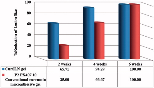 Figure 6. % Reduction of lesion size after 2, 4 and 6 weeks of treatment study period.