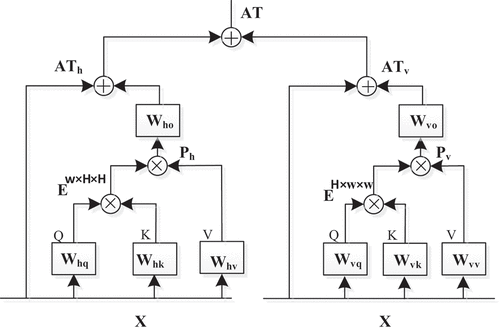 Figure 1. The illustration of Axial attention. The left part represents horizontal attention. X represents the input feature map, and Whq, Whk and Whv refer to weight matrices of query, key and value for horizontal attention, and Wvq, Wvk and Wvv refer to weight matrices of query, key and value for vertical attention. Ew×H×H and EH×w×w represent the similarity matrix. Ph and Pv is attention by multiplying E with V. Who and Wvo is a convolutional kernel, and ATh denotes the output of horizontal attention. The right part represents vertical attention ATv and at represents the output of the attention module.