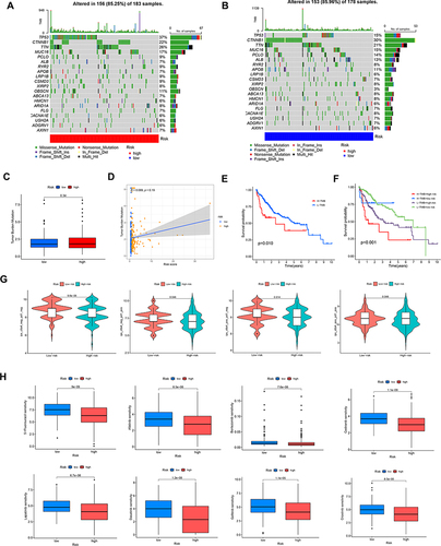 Figure 6 Analysis of TMB and drug susceptibility. (A, B) Mutations in high- and low-risk populations are summarized via a waterfall plot. (C)TMB variation between the two risk groups. (D) Relationship between the risk score and TMB. (E and F) The KM curve of the tumor mutation burden versus the OS. (G)Difference of immunotherapy response with CTLA4- and PD-1-, CTLA4- and PD-1+, CTLA4+ and PD-1, and CTLA4+ and PD-1+ between two risk groups. (H)Prediction of the drug sensitivity (IC50) of 5-Fluorouracil, Afatinib, Bortezomib, Cediranib, Lapatinib, Dasatinib, lapatinib, and Crizotinib.