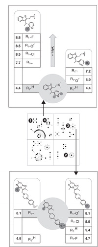 Figure 5. Matching molecular series from activity cliff clusters. Two exemplary pairs of MMS belonging to different relationship categories are depicted. For cluster 3 (MMS pair with no potency gain) and cluster 4 (MMS pair with a significant potency gain), the shared compound, MMP cores, and corresponding substitution sites are shown. For clarity, clusters and MMS of small size were selected for display. Modification sites are highlighted in gray.