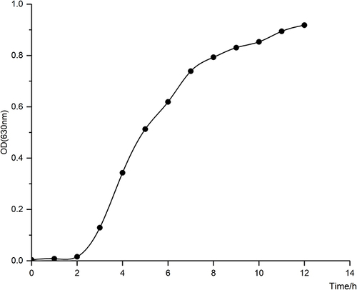 Figure 1 Growth curve of K. pneumoniae.