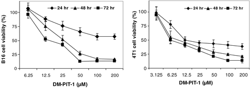 Figure 4.  In vitro cytotoxicity of micellar DM-PIT-1 against murine B-16 melanoma (left) and 4T1 metastatic breast cancer cells (right). Cancer cells were incubated with micellar DM-PIT-1 for 24, 48, and 72 hr. Data represent the mean ± SD of three experiments and are expressed relative to untreated controls.