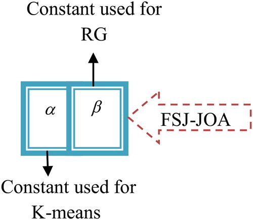 Figure 6. Solution encoding for optimal constants in segmentation.