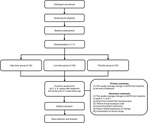 Figure 1 Study flow chart.