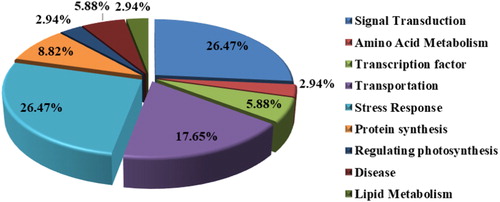 Figure 4. Functional annotation distribution of 34 differentially expressed fragments.