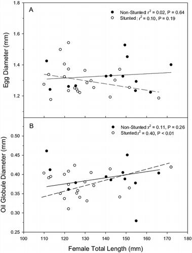 Figure 1. Relationship between egg diameter (mm, panel A), oil globule diameter (mm, panel B), and female total length (mm) of bluegill eggs from both non-stunted (closed circles) and stunted populations (open circles). Points denote mean values for each tank. Trend lines (solid for non-stunted, dashed for stunted) show the best-fit least-squares linear regression line for each source population.