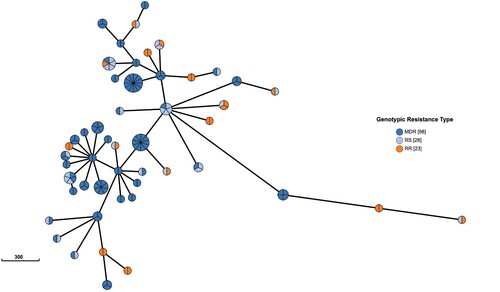 Figure 2. WGS-clusters of multidrug resistant or rifampin-resistant isolates with rifampin-sensitive isolates. 98 multidrug resistant (MDR) isolates, 23 rifampin-resistant (RR) isolates and 28 rifampin-sensitive (RS) isolates clustered in 50 WGS – clusters.