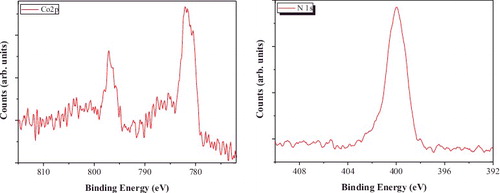 Figure 8. XPS spectra of [Co(bpy)2(NO3)]+-exchanged ZrP for Co2p and N1s states.