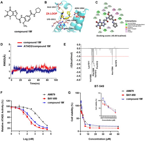 Figure 3. The docking of compound 19f and ATAD2 bromodomain. (A) The structure of compound 19f; (B) The hydrogen interactions of compound 19f and ATAD2 bromodomain in the cartoon; (C) The detailed interactions between compound 19f and ATAD2 bromodomain; (D) The RMSD of ATAD2 atoms around 5 Å of compound 19f; (E) the residues energy decomposition of compound 19f and ATAD2; (F) The effect of AM879, BAY-850 and compound 19f on ATAD2 activity detected by TR-FRET technology; (G) The effect of AM879, BAY-850, and compound 19f on the cell viability of BT-549 cells.