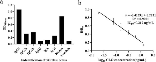 Figure 2. (a) The identification of the mAb (34F10) subclass; (b) The sensitivity of 34F10 identified by ic-ELISA.