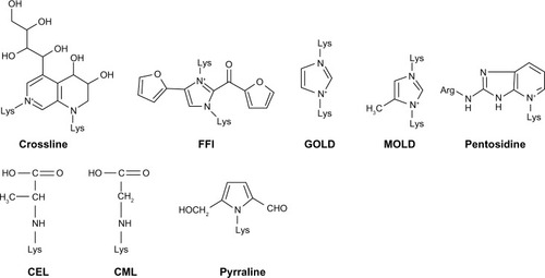 Figure 1 Chemical structure of some advanced glycation end products (AGEs): crossline, 2-(2-furoyl)-4(5)-(2-furanyl)-1H-imidazole (FFI), glyoxal-lysine dimer (GOLD), methylglyoxal-lysine dimer (MOLD), pentosidine, N3-(carboxyethyl)lysine (CEL), N-carboxymethyl lysine (CML), and pyrraline.