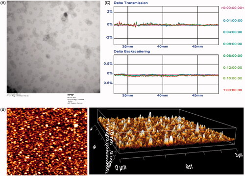 Figure 2. Physicochemical characterization of T7/dA7R-LS containing DOX and VCR. Morphological appearance of T7/dA7R-LS based on TEM (A) and AFM (B). Stability of T7/dA7R-LS in the presence of 10% FBS. The transmission and backscattering profiles were measured at each time point using a Turbiscan Lab® Expert analyzer (C).