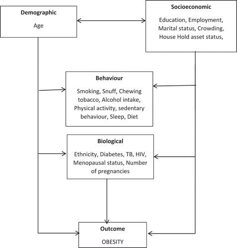 Figure 1. A theoretical conceptual framework of risk factors for obesity.