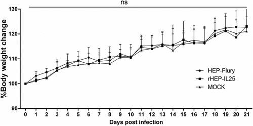 Figure 3. Pathogenicity of RABV in adult mice. rHEP-IL25, HEP-Flury, or medium were i.M.-inoculated to KM mice. Body weight was recorded daily for 21 days. The results showed as the body weight ratio on day 0, and data were presented as mean value ± SD (n = 8～10; ns, non-significant).