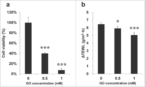Figure 1. General properties of the glycated reconstructed epidermal model. Glycation was induced by hydration with various concentrations of GO from the basal side for 72 h. Viability of glycated 6D RHE was measured by alamar Blue® assay(a). ΔTEWL of glycated 6D RHE was measured using vaposcan (b). All results are expressed as the mean ± SD of n = 3 or n = 4 replicates, respectively. *p < 0.05, ***p < 0.001.