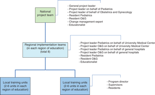 Figure 1. Organization of the In VIVO implementation process.