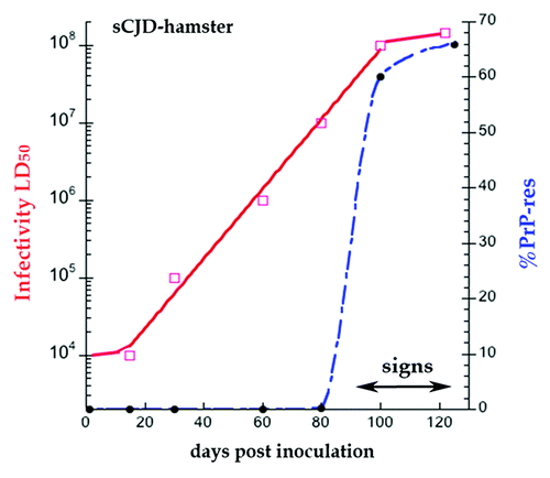 Figure 1. Hamster sCJD progression in days post-infection ic. Superimposed data for infectious titer in logs (red solid line) and % PrP-res of the total PrP (blue broken line). PrP is not converted to PrP-res until 80 d, and PrP-res shows a late onset and much steeper trajectory than infectivity.Citation34 The effective doubling time of PrP-res is 65× the rate of agent doubling; this rate includes both replication and destruction (see text). Note clinical signs appear at beginning of the high plateau phase of infectivity and PrP-res.
