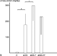 Figure 1. (A) Urinary protein execretion at week 12. (B) Urinary protein execretion at week 22. #P < 0.05 group ADR vs. group C. *P < 0.05 groups ADR-T or ADR-DT vs. group ADR. †P < 0.05 group ADR-T vs. group ADR-DT. Data are expressed as the mean ± SD.