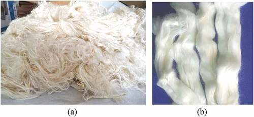 Figure 4. Picture of (a) nettle fiber and (b) used for making yarns and fabrics.