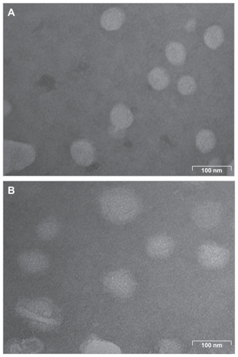 Figure 2 Transmission electron microscopy of (A) lipid nanoemulsion and (B) LDE-ddMTX.Abbreviations: ddMTX, didodecyl methotrexate; LDE, lipid nanoemulsion.