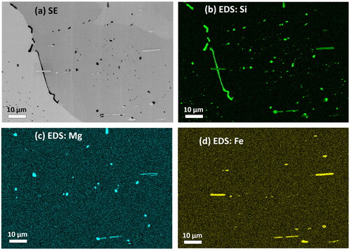 Figure 1. Microstructure of the alloy AA6016 containing primary Al-Fe-Si particles (white), Si (black), and Mg2Si (dark-gray) precipitates. The width of the images is 100 µm. (a) Image from inlens secondary electron (SE) detector. (b–d) Energy dispersive X-ray spectrometry scans of the main alloying elements Si, Mg, and Fe.