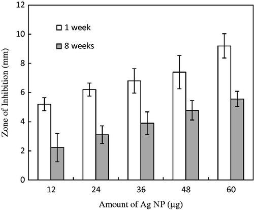 Figure 5. Diameter of the zone in which bacterial growth was inhibited by various amounts of the Ag NPs synthesized with seed-derived callus extract of C. roseus after 1 and 8 weeks of storage under ambient conditions (mean ± SD, n = 3).