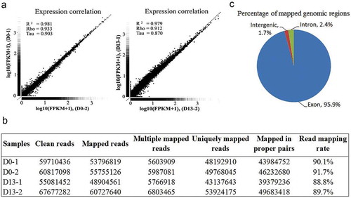 Figure 2. RNA-Seq analysis.(a) Validation of the transcriptome data. The performance of RNA-Seq was evaluated by determining the correlation of genes expression between two independent samples from preadipocytes (D0-1 and D0-2) or differentiated adipocytes (D13-1 and D13-2). (b) Mapping result statistics at D0 and D13. (c) Pie charts representing the percentage of nucleotide bases mapping to indicated genomic regions.