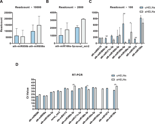 Figure 3 Relative miRNA expression levels in uHELNs and aHELNs identified and validated by sRNA-seq and RT-PCR. miRNAs identified by sRNA-seq with read counts of more than (A)10,000, (B) 2000, and (C) 100. (D) Cycle threshold (Ct) values of each miRNA enriched in uHELNs and aHELNs validated by RT-PCR. Data are from three independent experiments. Error bars, SD, *p < 0.05, ***p < 0.001, **** p < 0.0001.