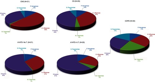 Figure 4 Relative proportions of P. aeruginosa, H. influenzae, M. catarrhalis, S. aureus and S. pneumoniae in sputum of control non-smokers (CON), control smokers (CS), cigarette smoke-associated chronic obstructive pulmonary diseased (COPD) patients, α1-anti trypsin deficiency not in therapy (AATD-noT) and AATD in augmentation therapy (AATD-AT) patients. The percentage of M. catarrhalis and S. pneumoniae was higher in cigarette smoke-associated COPD compared to CON. Interestingly, augmentation therapy in COPD patients with AATD significantly reduced the percentage of M. catarrhalis and S. pneumoniae to values close to those observed in CON subjects.