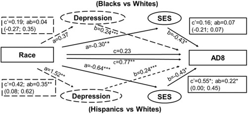 Figure 3 Mediation of race/ethnic differences in subjective cognitive complaints by SES and depressive symptoms. Estimates obtained with Barron and Kenny mediation analysis.