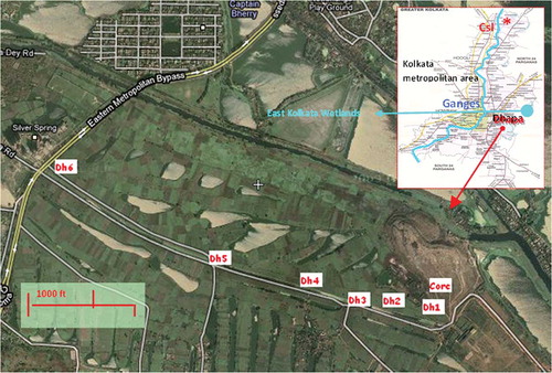 Figure 1. Satellite map of the sampling site for MSW-contaminated soils, Dhapa (sampling points: Dh1–Dh6). Inset: Kolkata metropolitan area map with countryside (Csl) sampling point (courtesy: Wiki-mapia and KMDA).