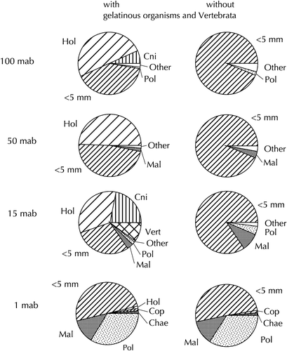 Figure 3.  Relative biomass of major zooplankton groups at the sampling layers in August 1998. Left: with gelatinous organisms and Vertebrata; right: without gelatinous organisms and Vertebrata. See caption of Figure 2 for abbreviations.