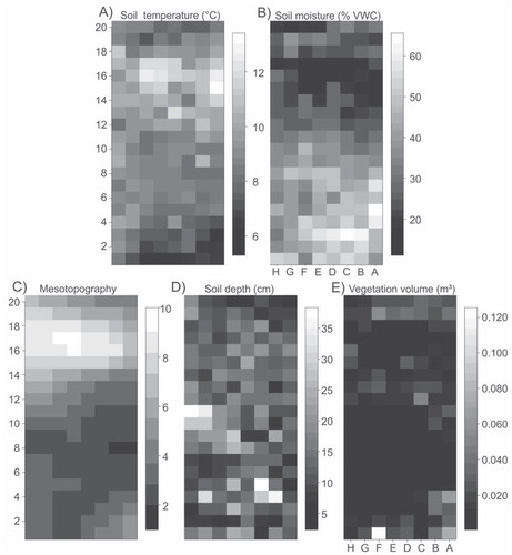 FIGURE 2. Examples from the study grid number four (NW slope of Mount Saana; see Fig. 1 for details) showing the spatial variation of the two response variables (at 1 m2 resolution), (A) soil temperature and (B) soil moisture; and some of the predictor variables (C) meso-topography, (D) peat depth, and (E) vegetation volume. VWC = volumetric water content.