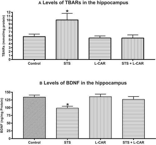 Figure 5 (A) Effect of L-CAR and/or STS on the hippocampal levels of TBARS in STS rats. The STS group revealed signiﬁcant increase in the hippocampal TBARs levels compared to other groups. On the other hand, the levels of TBARs in the STS + L-CAR group were similar to those in the control and L-CAR groups. (B) Levels of brain-derived neurotrophic factor (BDNF) in the hippocampus. BDNF levels were significantly decreased in the hippocampus of the STS group as compared to the control group. Moreover, the levels of BDNF in the STS + L-CAR group were similar to that in the control and L-CAR groups. Mean ± SEM, n = 15 for each group, *p < 0.05 indicates signiﬁcant difference compared with all other groups.
