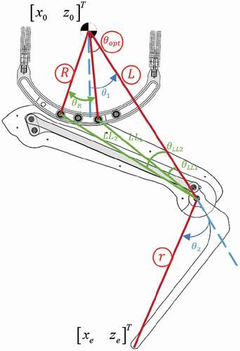 Figure 8. RoboWalk optimization parameters (circled parameters are directly obtained by optimization)