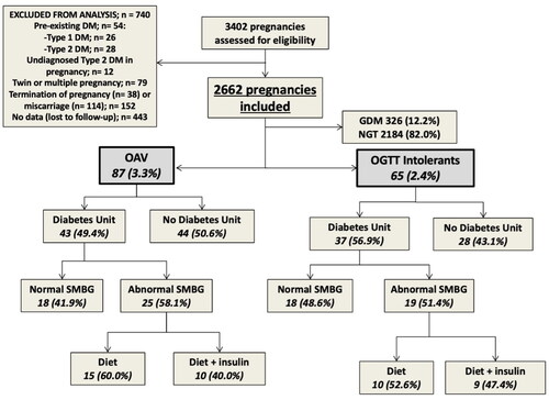 Figure 1. Flow diagram of the study and analyzed groups.GDM, gestational diabetes mellitus; DM, diabetes mellitus; NGT, normal glucose tolerance; OAV, one abnormal value; OGTT, oral glucose tolerance test; SMBG, self-measurement blood glucose.