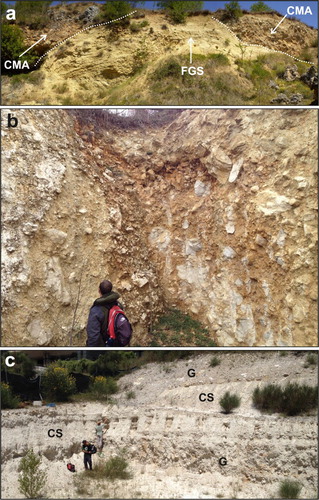 Figure 7. (a) Scoop-shaped basal unconformity of the Colle Macchione-L’Aquila Synthem (CMA) above the deformed deposits of the FGS at Colle Macchione; (b) poorly sorted, clast-supported massive calcareous breccia of CMA (Collemaggio, L’Aquila); (c) calcareous clayey silt level (CS) interlayered within calcareous gravels (G) (upper portion of CMA) (Via Cisternole, L’Aquila).