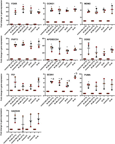 Figure 4. Transcriptional response of 10 biomarkers to ionizing radiation in human blood after 24 h incubation at 37 °C followed by 24 h at 4 °C, room temperature (RT 22 °C) and 37 °C after exposure to simulate possible conditions of sample transport. Blood from healthy volunteers (n = 3) was exposed to a single 2 Gy X-ray dose (0.5 Gy/min). The data are presented as mean values ± standard deviation (SD). Statistical analyses were performed in log-transformed data. The presence of an asterisk (*) indicates a significant difference (paired T test, p ≤ 0.05) with each control group. One-way ANOVA followed by Tukey's test was performed to compare the radiation response between 24 h, 48 h, RT and 4 °C (compared the IR only). Values not sharing a common letter are significantly different and figures not presenting any letters indicate no significant differences. IR: ionizing radiation; RT: room temperature.